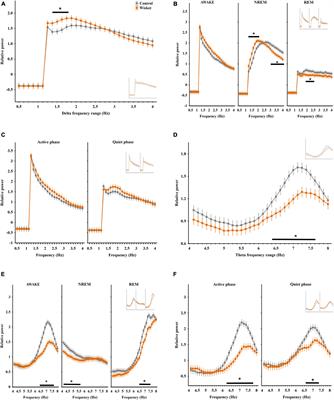 Sleep-Wake Rhythm and Oscillatory Pattern Analysis in a Multiple Hit Schizophrenia Rat Model (Wisket)